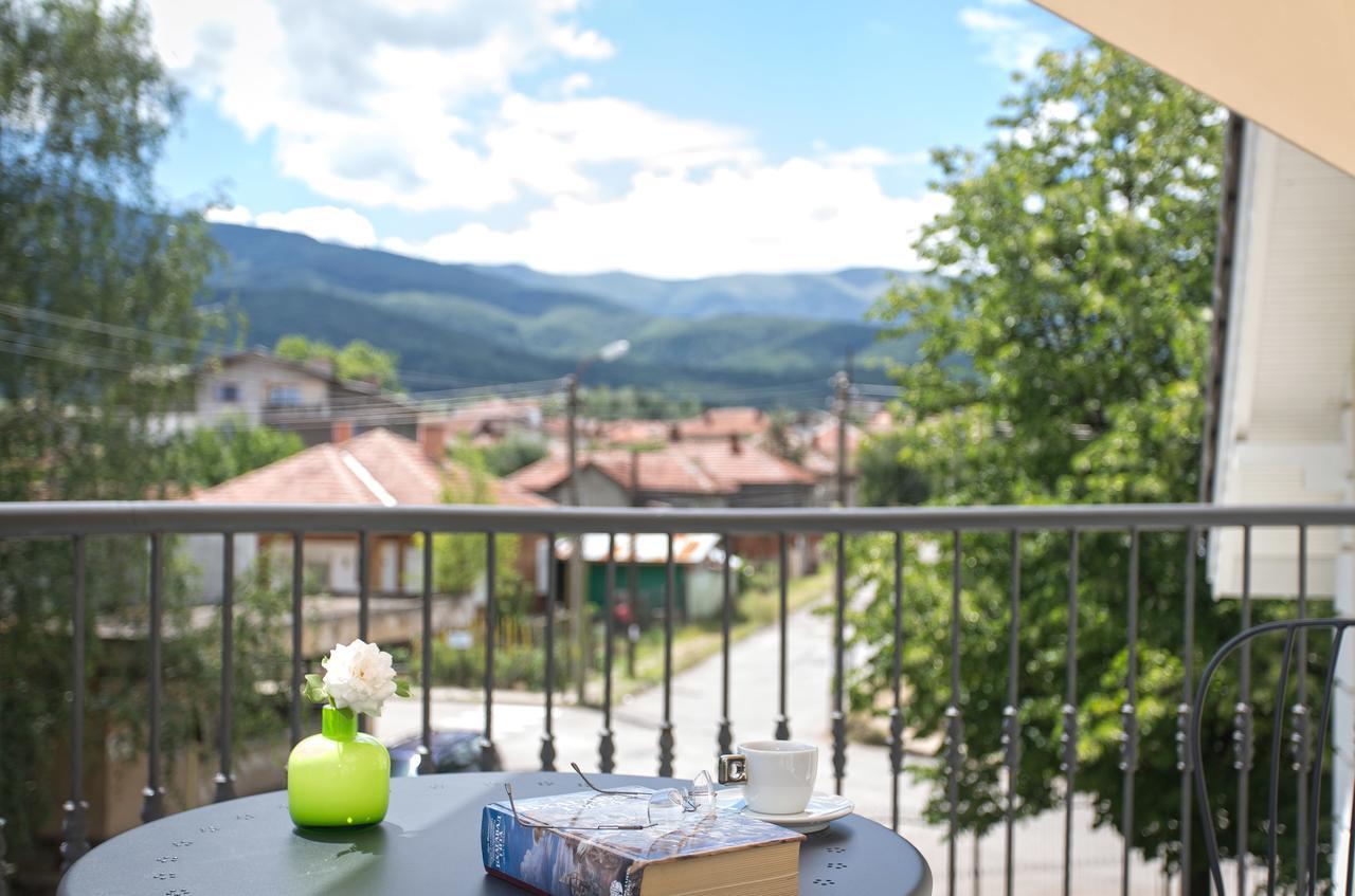 Green Hill Guest House Berkovica Esterno foto