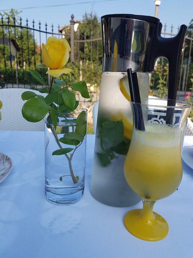 Green Hill Guest House Berkovica Esterno foto